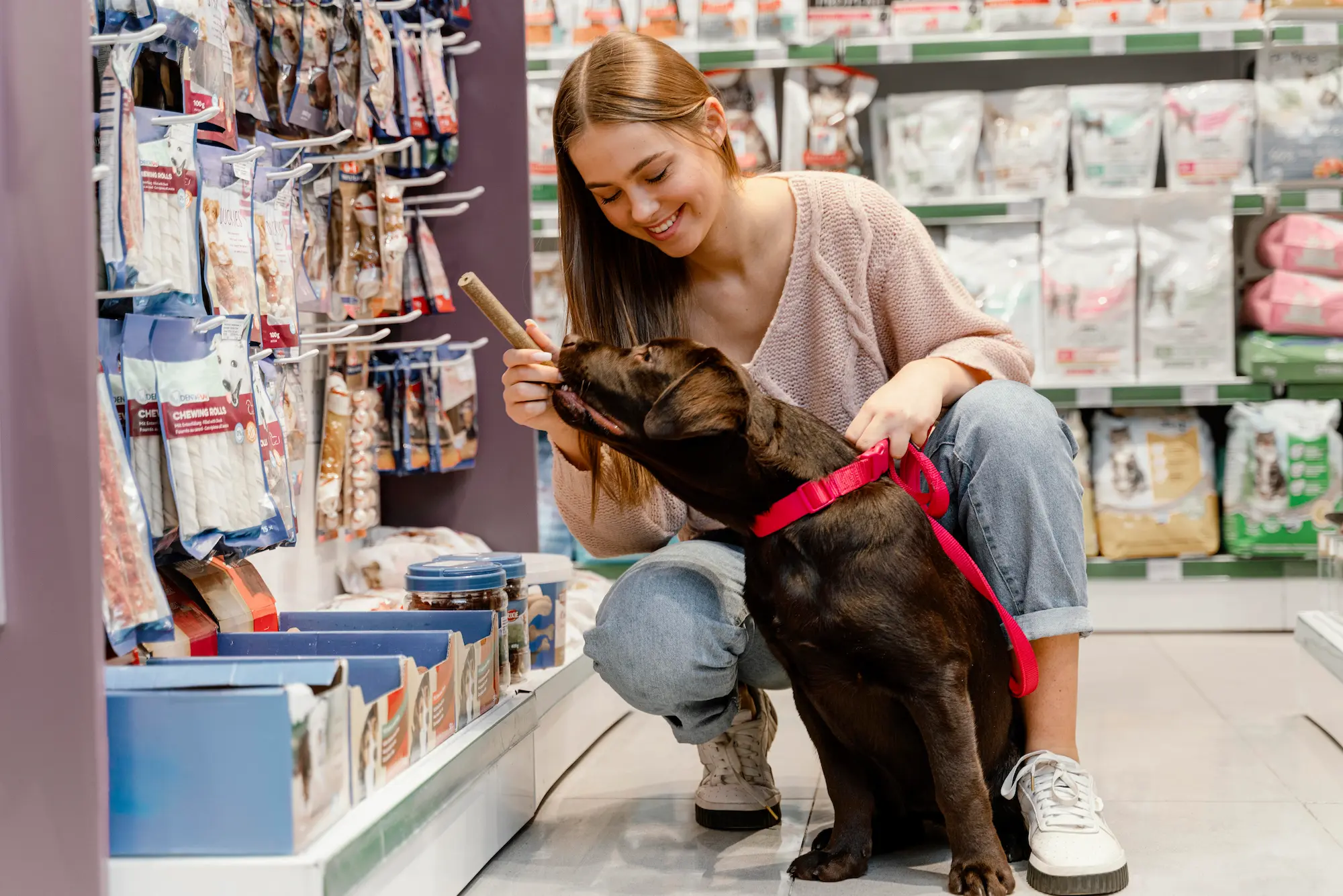 adorable dog with owner pet shop - jardinerie floravie